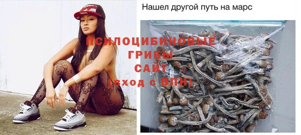 СК Великий Новгород
