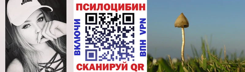 Галлюциногенные грибы мицелий  Волчанск 